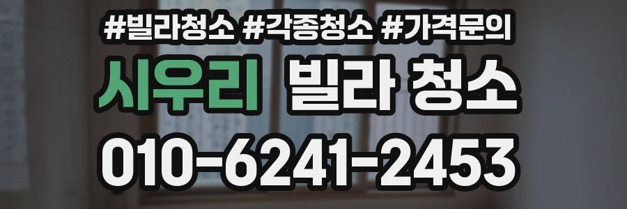 시우리 빌라 청소