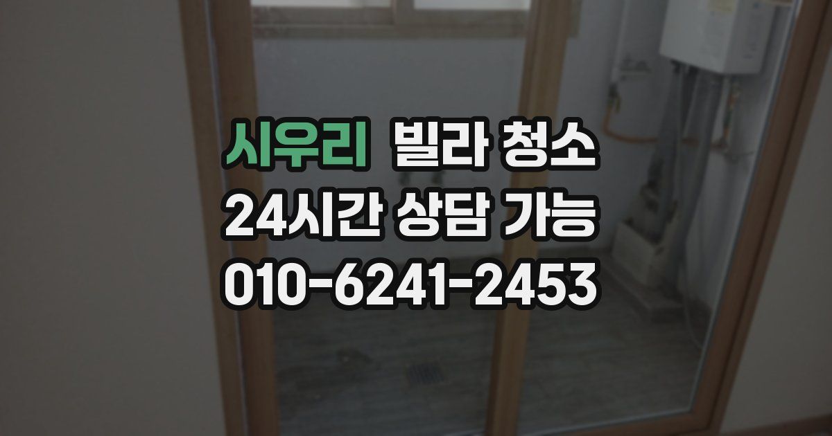 시우리 빌라 청소