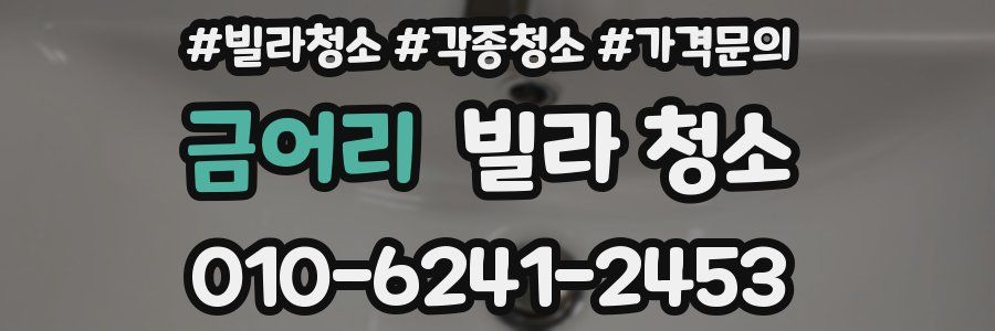 금어리 빌라 청소