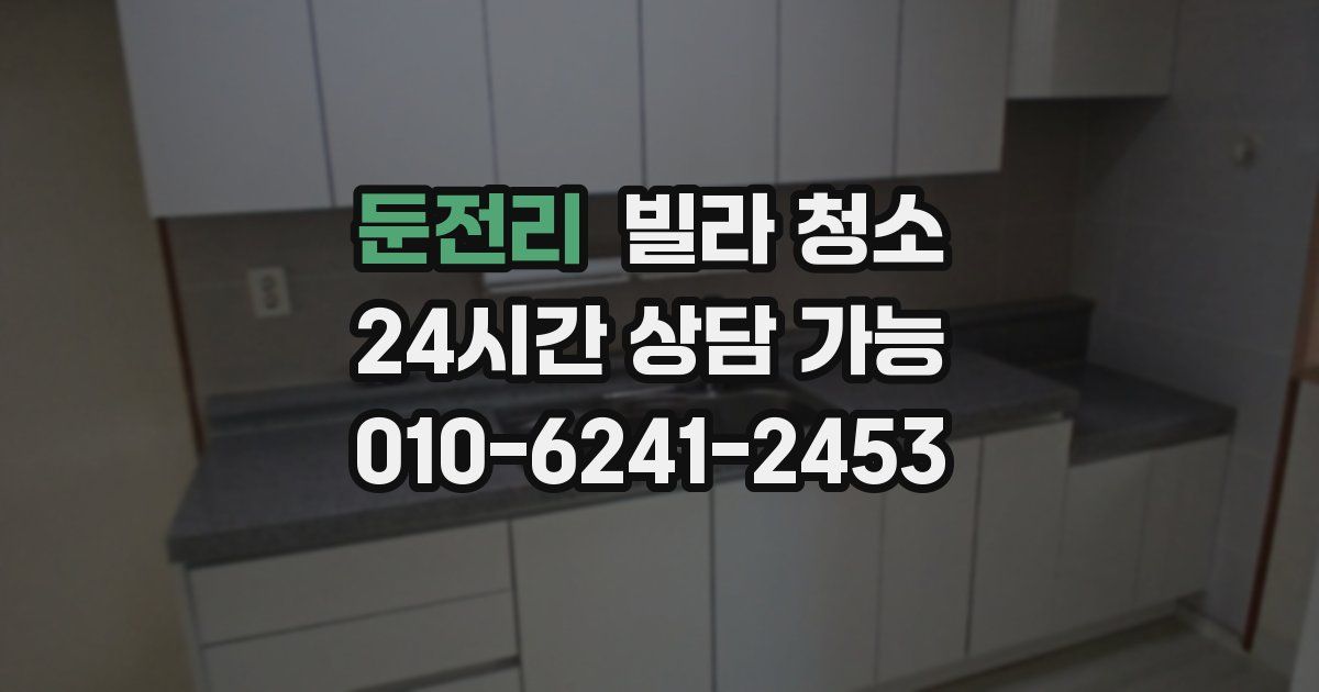 둔전리 빌라 청소