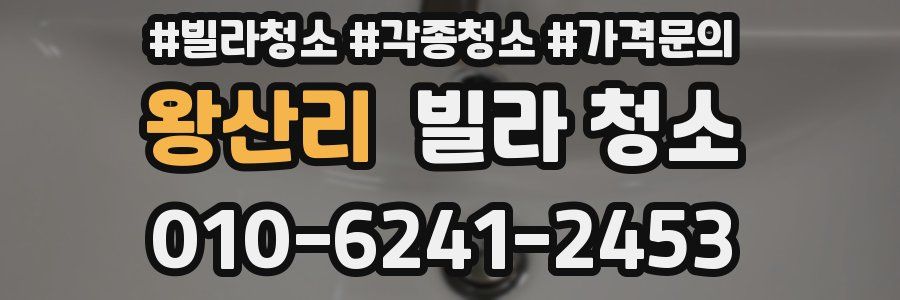 왕산리 빌라 청소