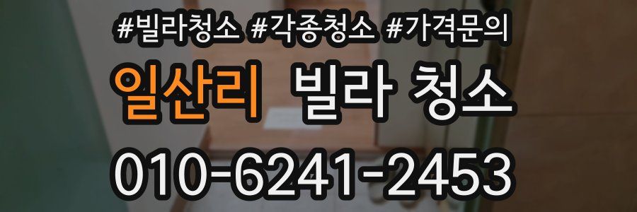 일산리 빌라 청소