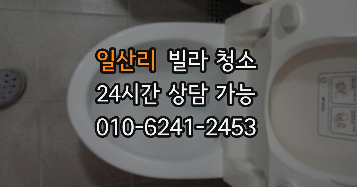 일산리 빌라 청소