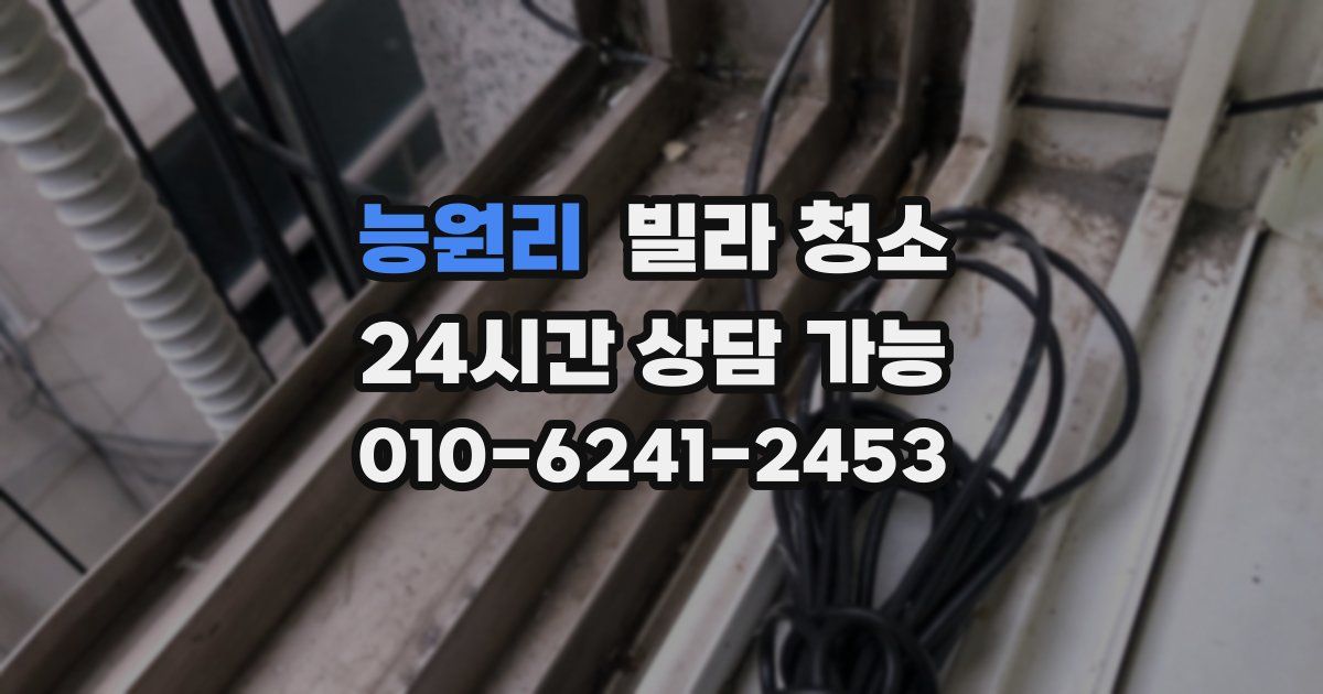 능원리 빌라 청소