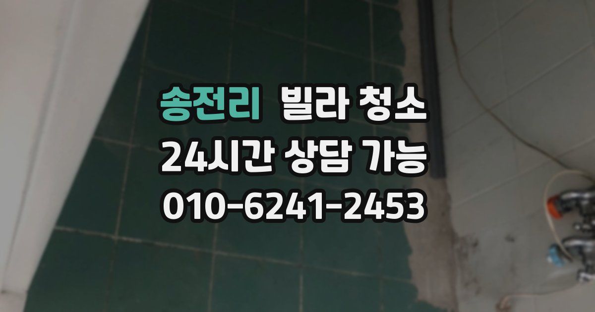 송전리 빌라 청소