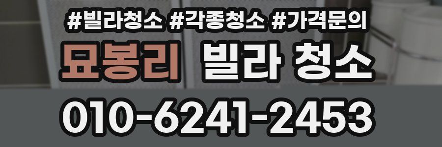 묘봉리 빌라 청소