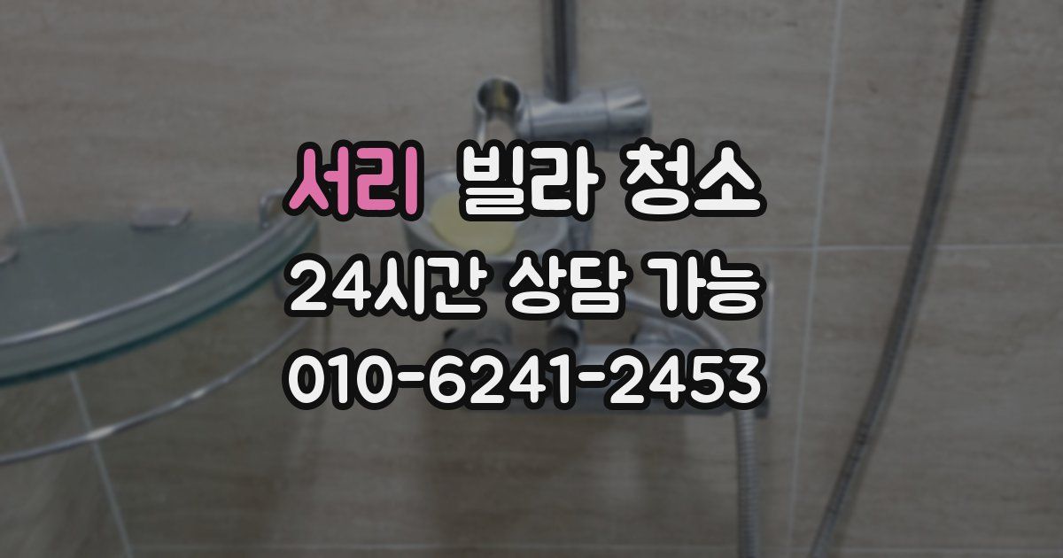 서리 빌라 청소