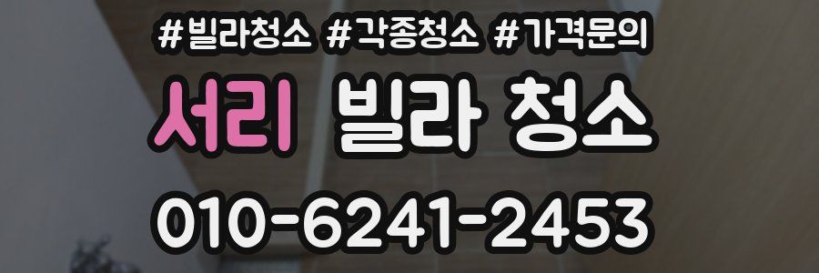 서리 빌라 청소