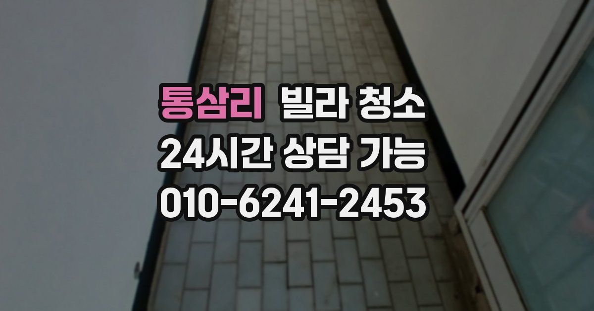 통삼리 빌라 청소