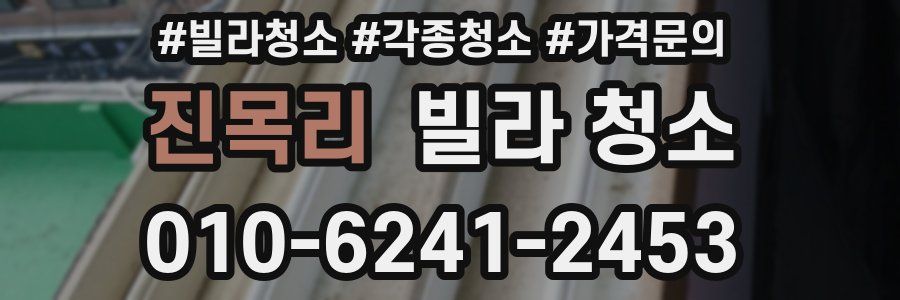 진목리 빌라 청소