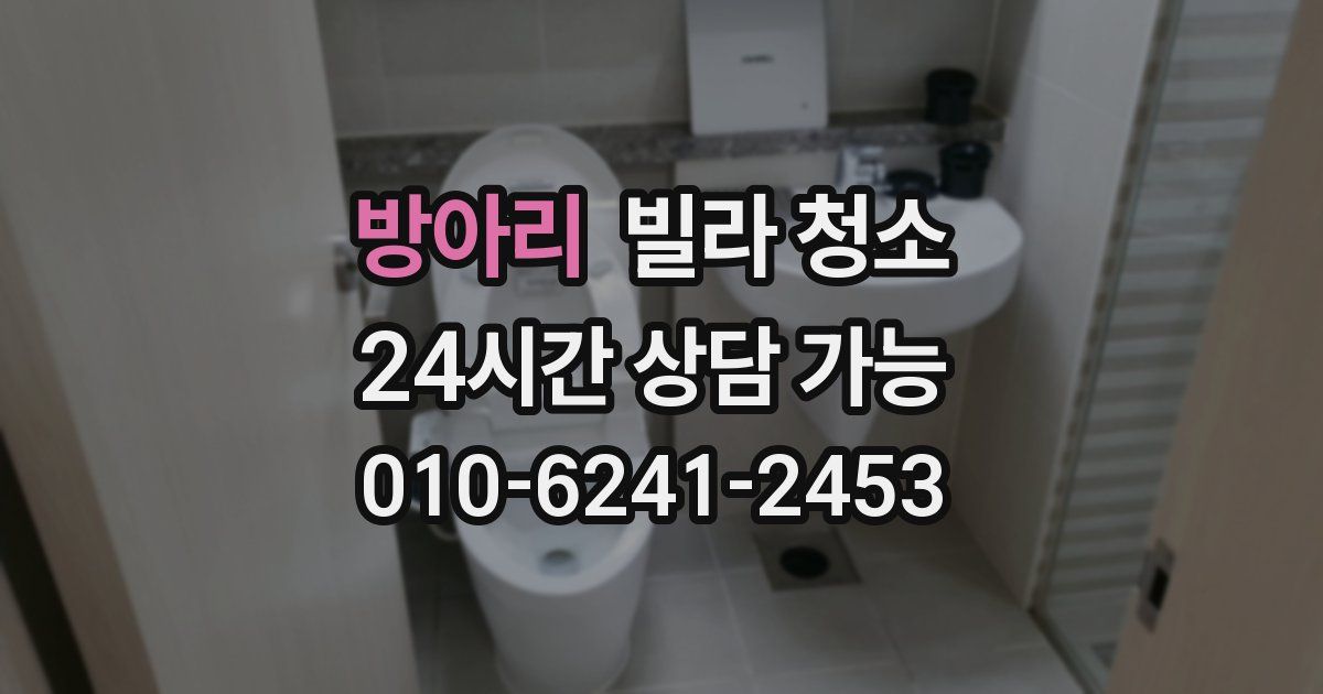 방아리 빌라 청소