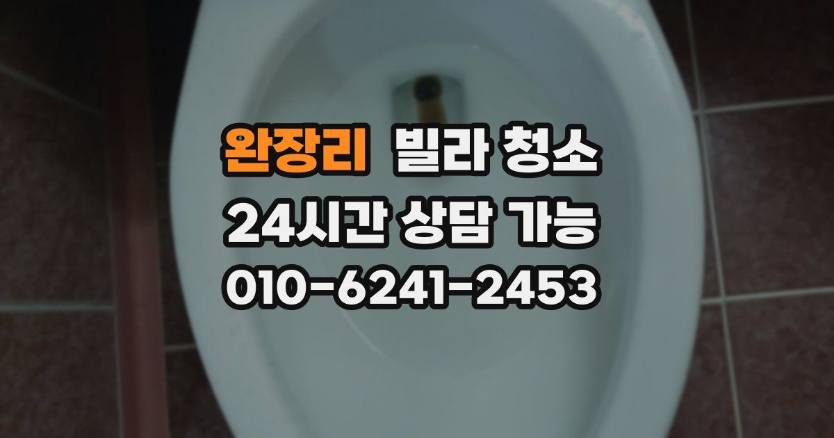 완장리 빌라 청소