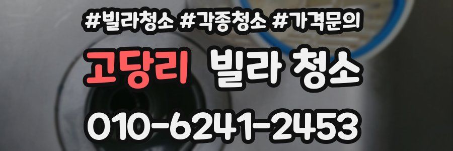 고당리 빌라 청소