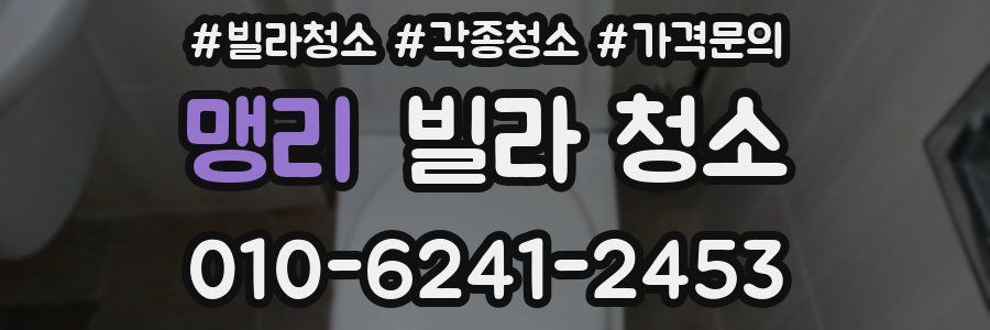 맹리 빌라 청소