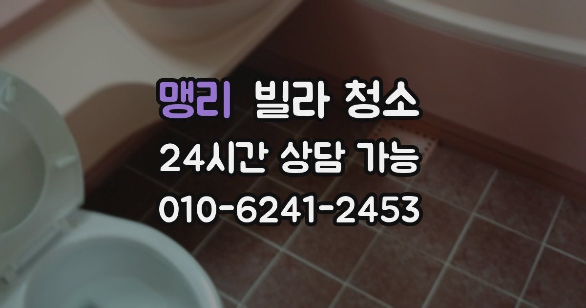 맹리 빌라 청소