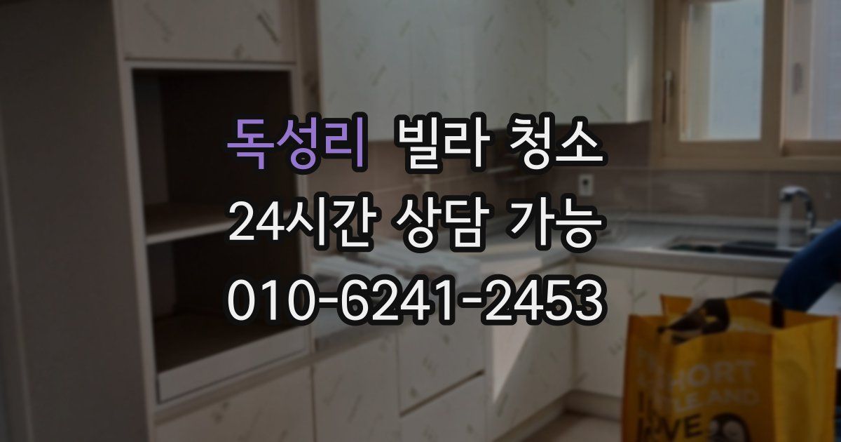 독성리 빌라 청소