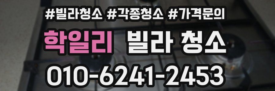 학일리 빌라 청소