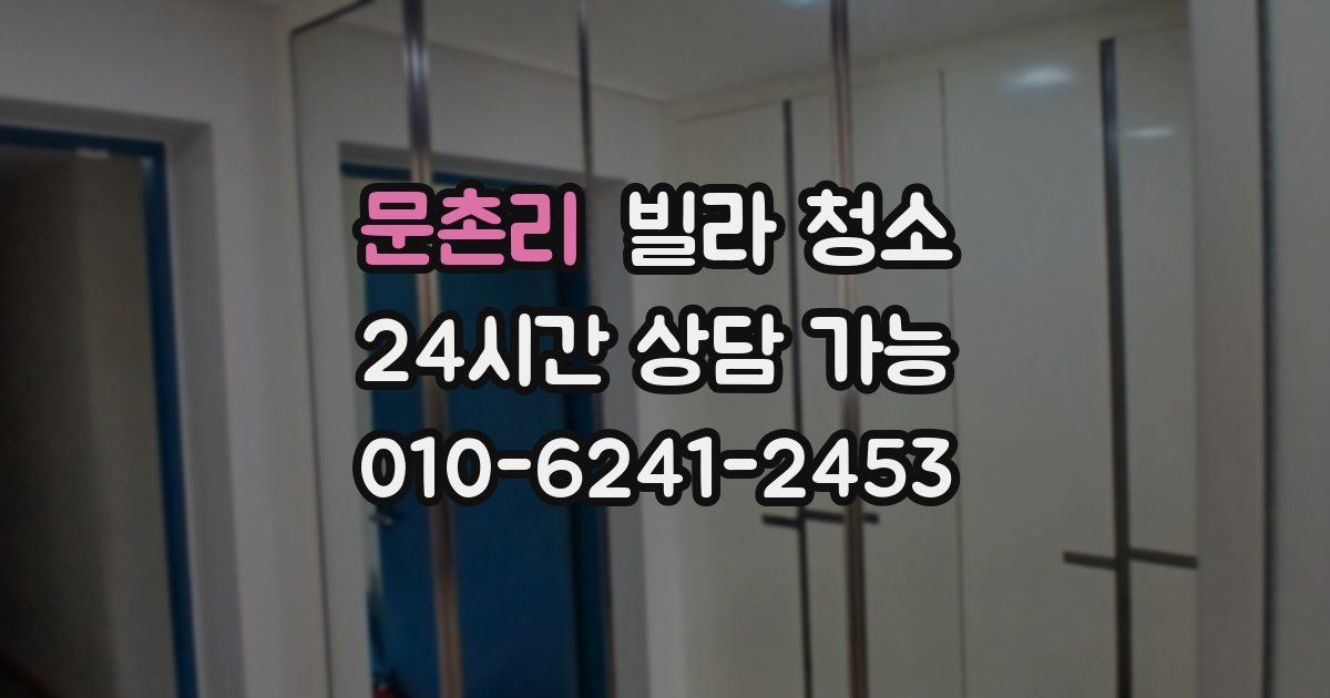 문촌리 빌라 청소