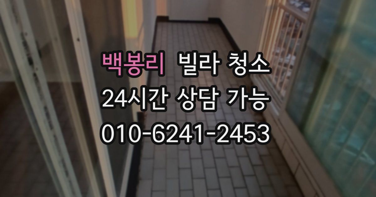 백봉리 빌라 청소