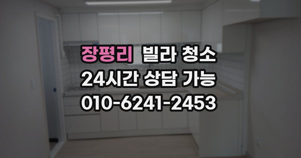 장평리 빌라 청소