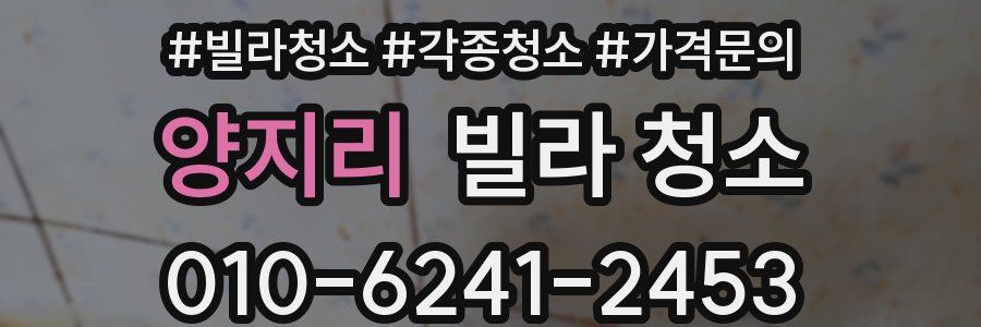 양지리 빌라 청소