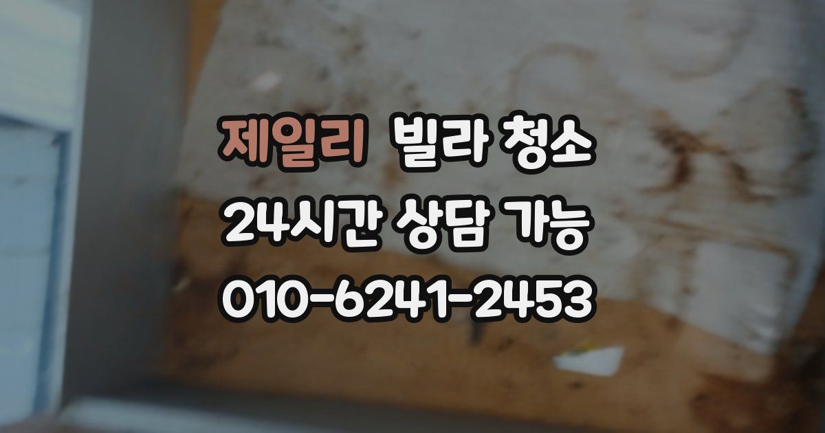 제일리 빌라 청소