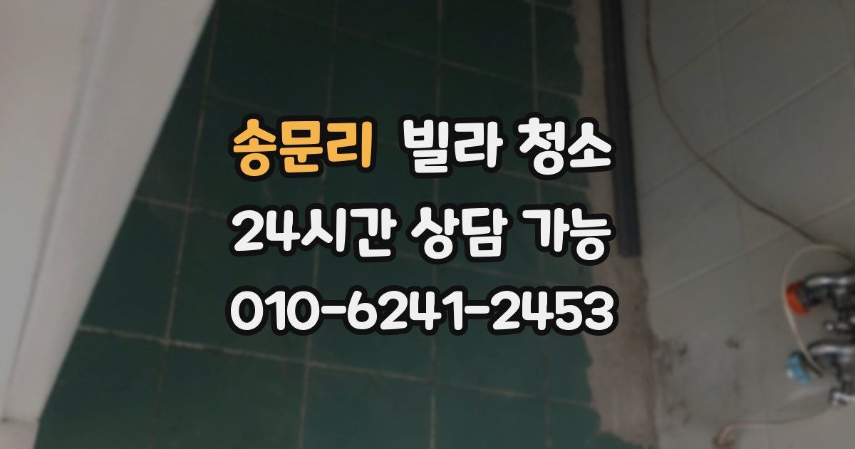 송문리 빌라 청소