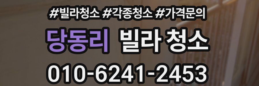 당동리 빌라 청소