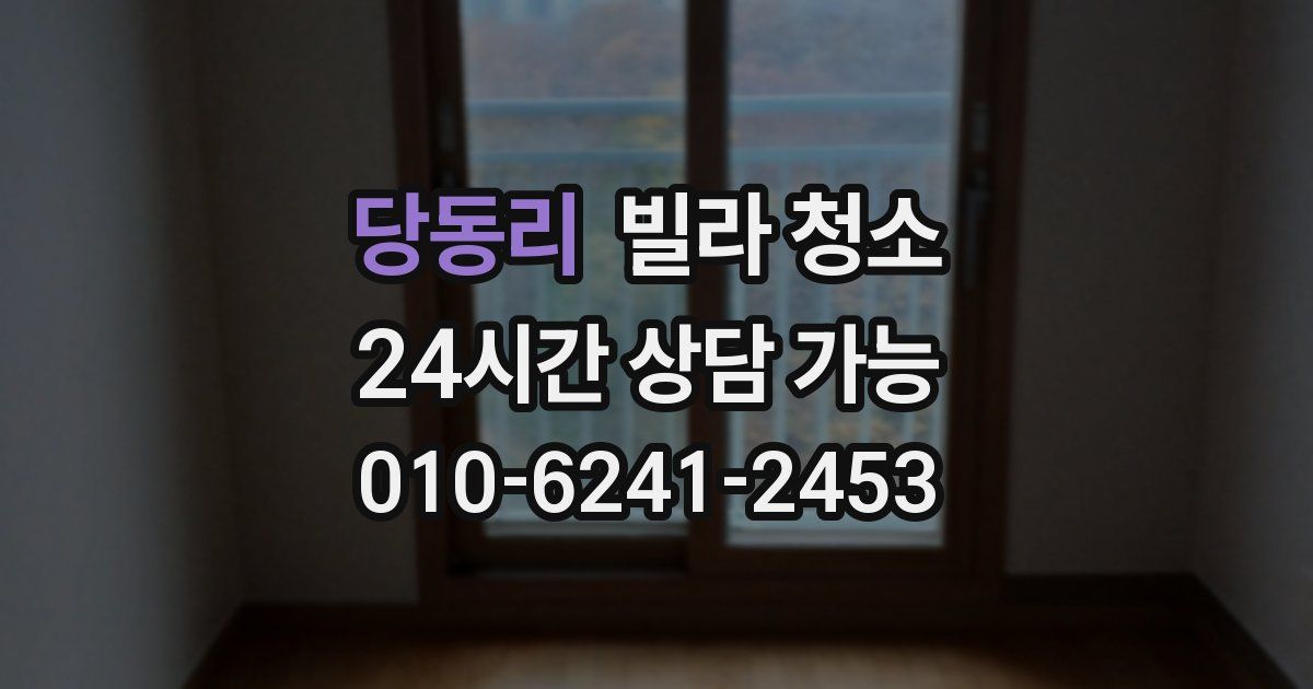 당동리 빌라 청소