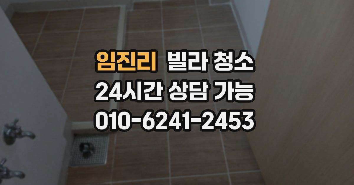 임진리 빌라 청소