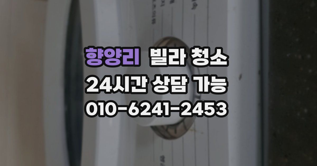 향양리 빌라 청소