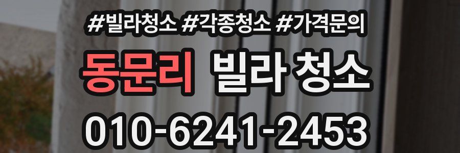동문리 빌라 청소