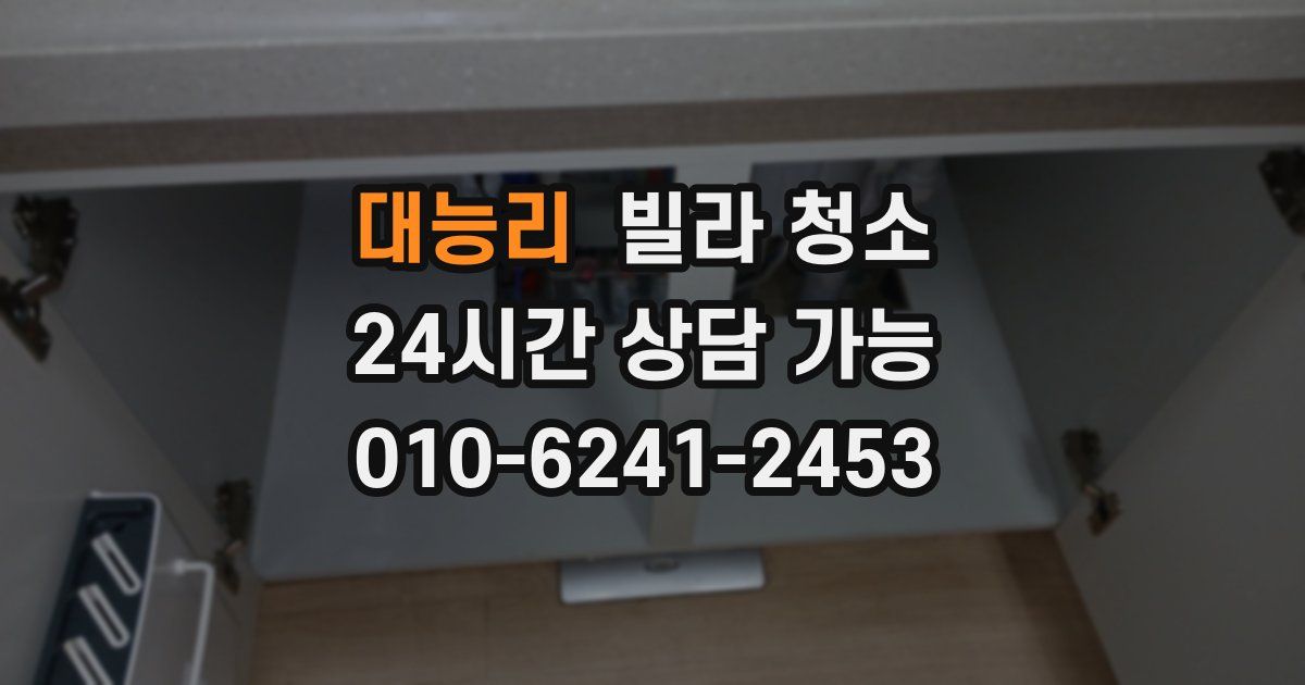 대능리 빌라 청소