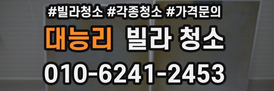 대능리 빌라 청소