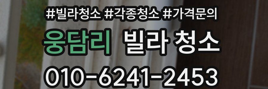 웅담리 빌라 청소