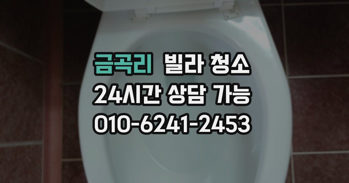 금곡리 빌라 청소