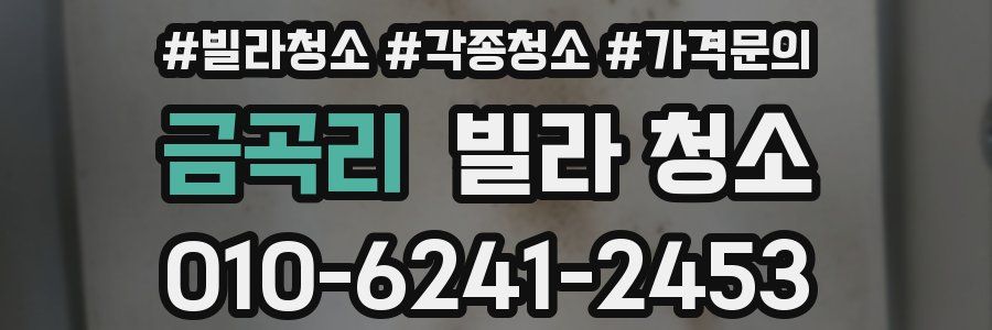 금곡리 빌라 청소