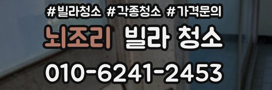 뇌조리 빌라 청소
