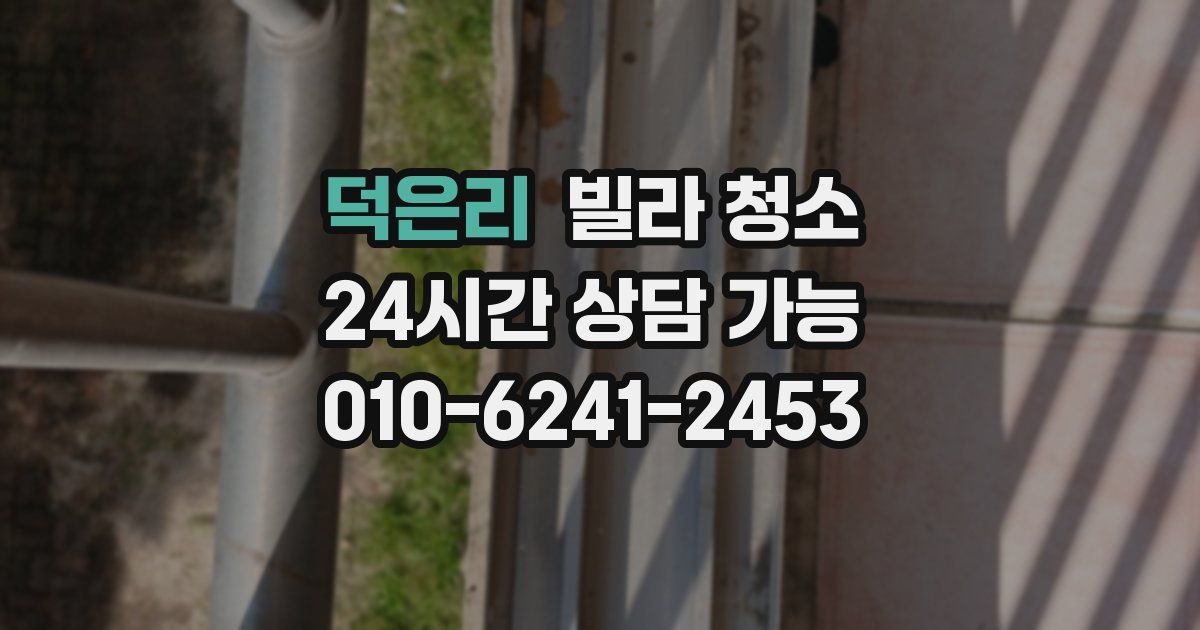 덕은리 빌라 청소