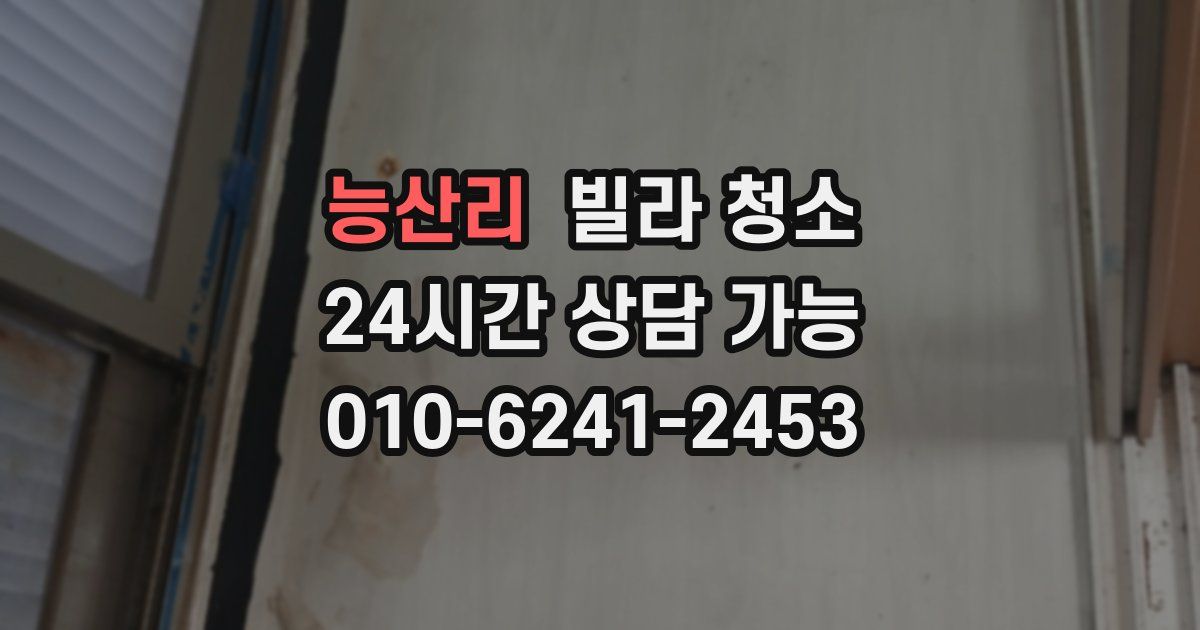 능산리 빌라 청소