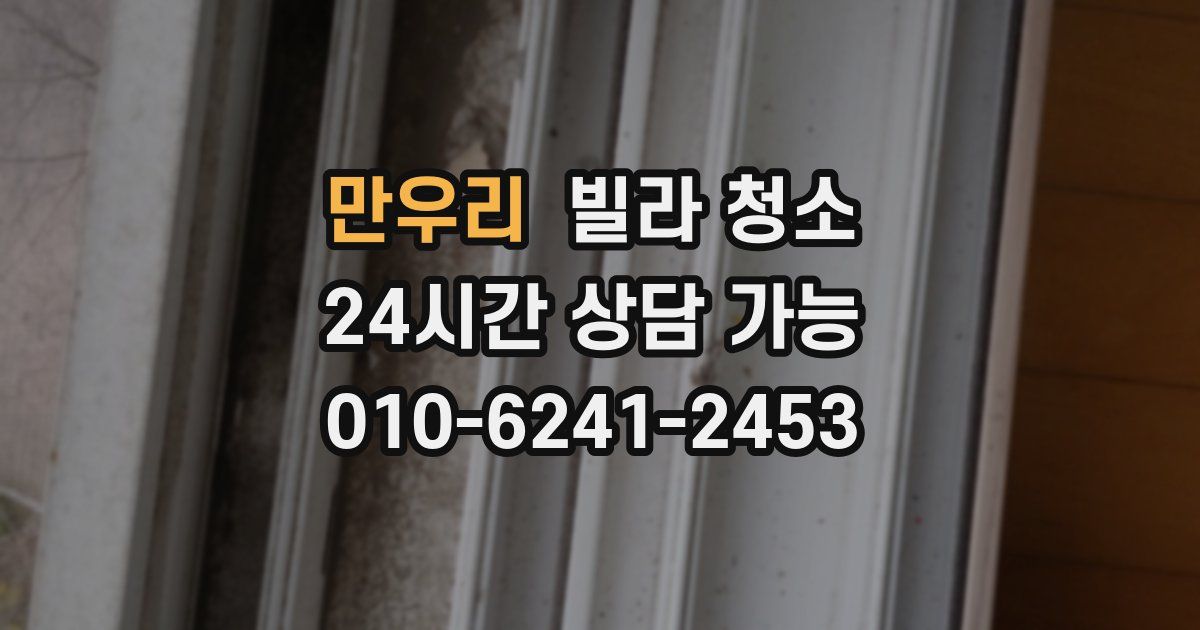 만우리 빌라 청소
