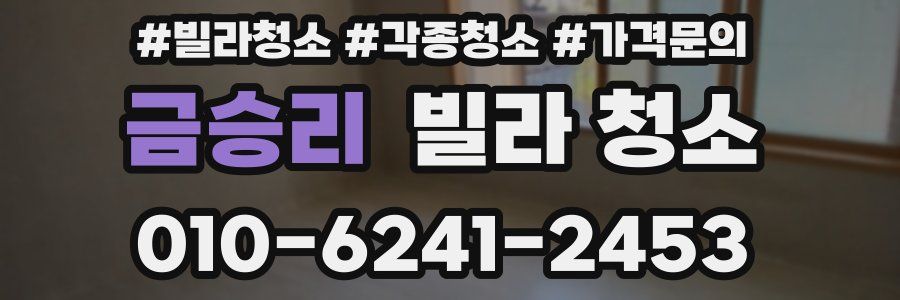 금승리 빌라 청소