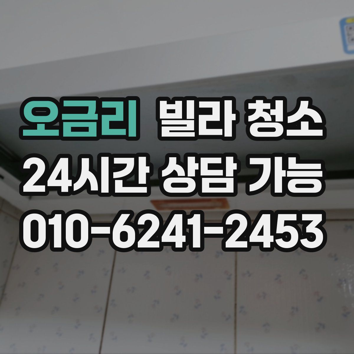 오금리 빌라 청소