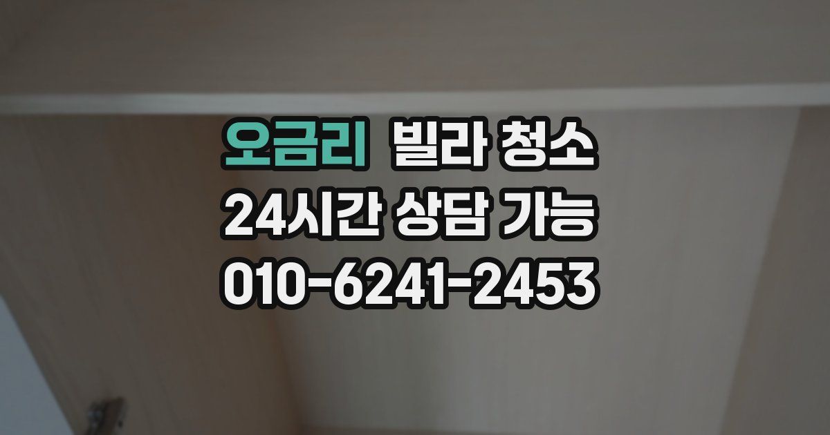 오금리 빌라 청소