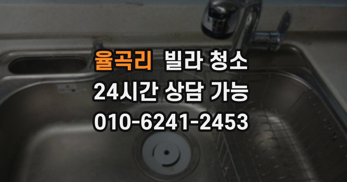 율곡리 빌라 청소