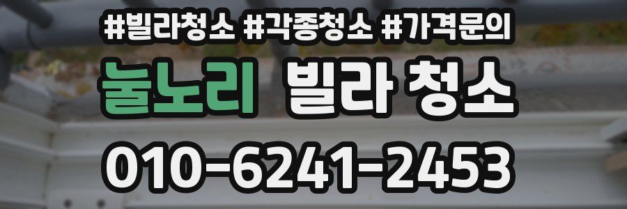 눌노리 빌라 청소