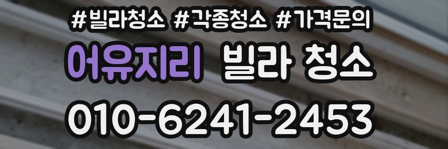 어유지리 빌라 청소