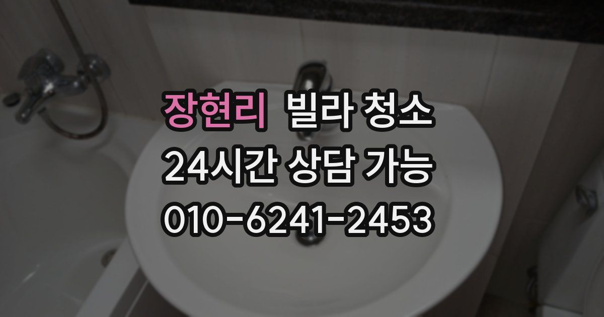 장현리 빌라 청소