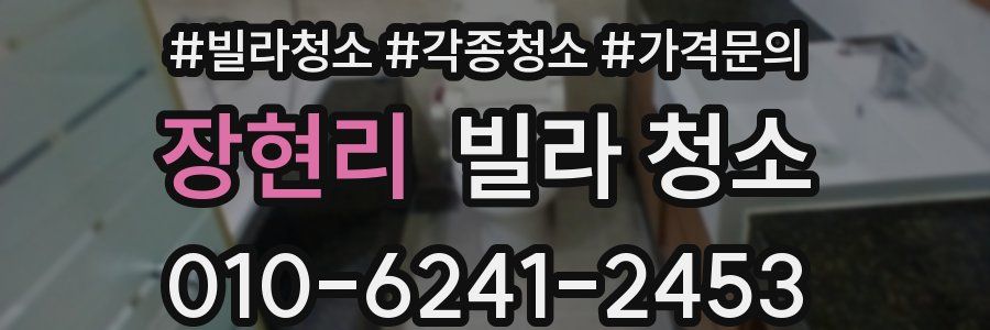 장현리 빌라 청소