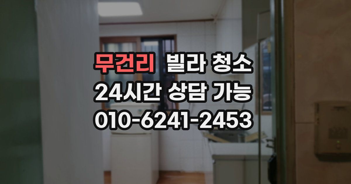 무건리 빌라 청소